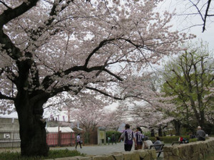 Img_4897_640